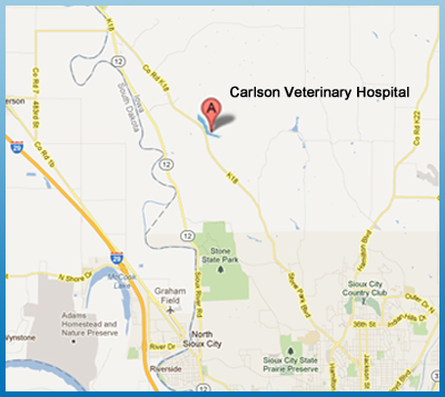 carlson vet clinic, location